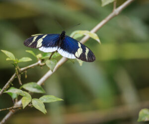 Cerro Kennedy Magdalena Colombia