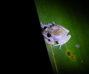 Cerro Kennedy Magdalena Colombia
