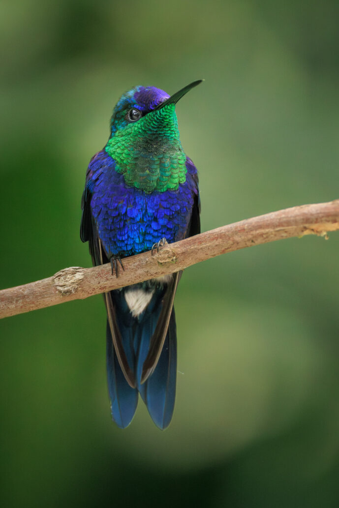 Cerro Kennedy Magdalena Colombia