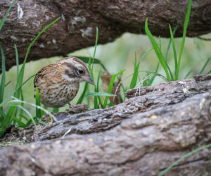 Cerro Kennedy Magdalena Colombia