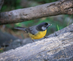 Cerro Kennedy Magdalena Colombia
