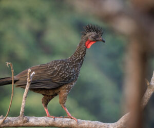 Cerro Kennedy Magdalena Colombia