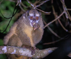 Cerro Kennedy Magdalena Colombia
