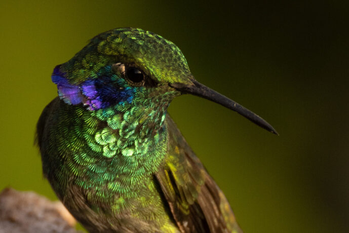 Cerro Kennedy Magdalena Colombia