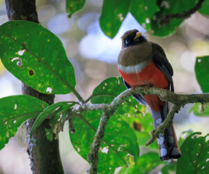 Cerro Kennedy Magdalena Colombia