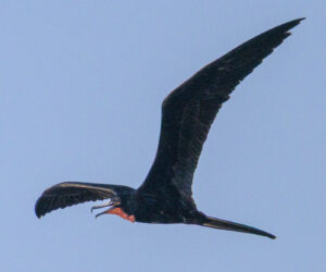 Mompox Bolivar Colombia
