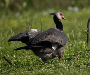 Mompox Bolivar Colombia