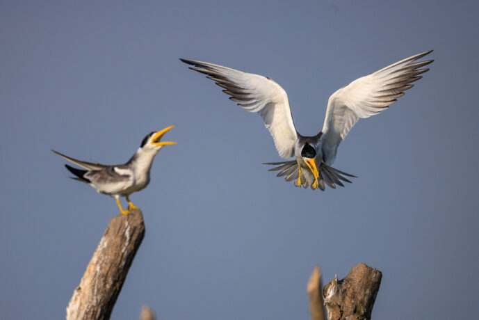 Mompox Bolivar Colombia