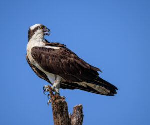 Mompox Bolivar Colombia