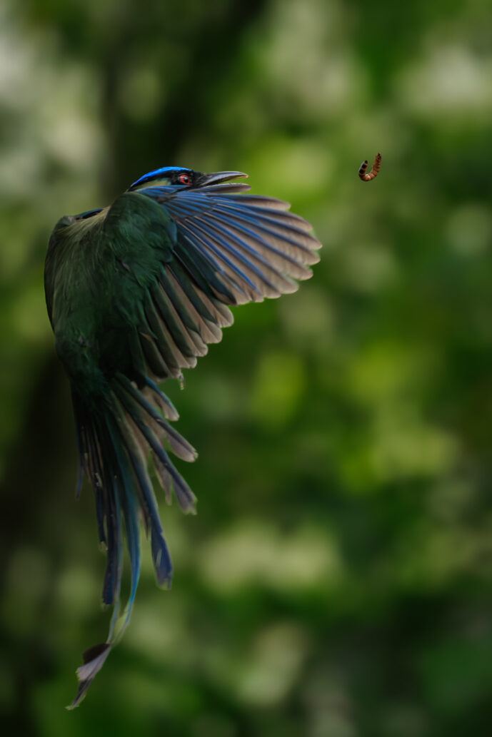 Dagua - Km18 Valle Del Cauca Colombia
