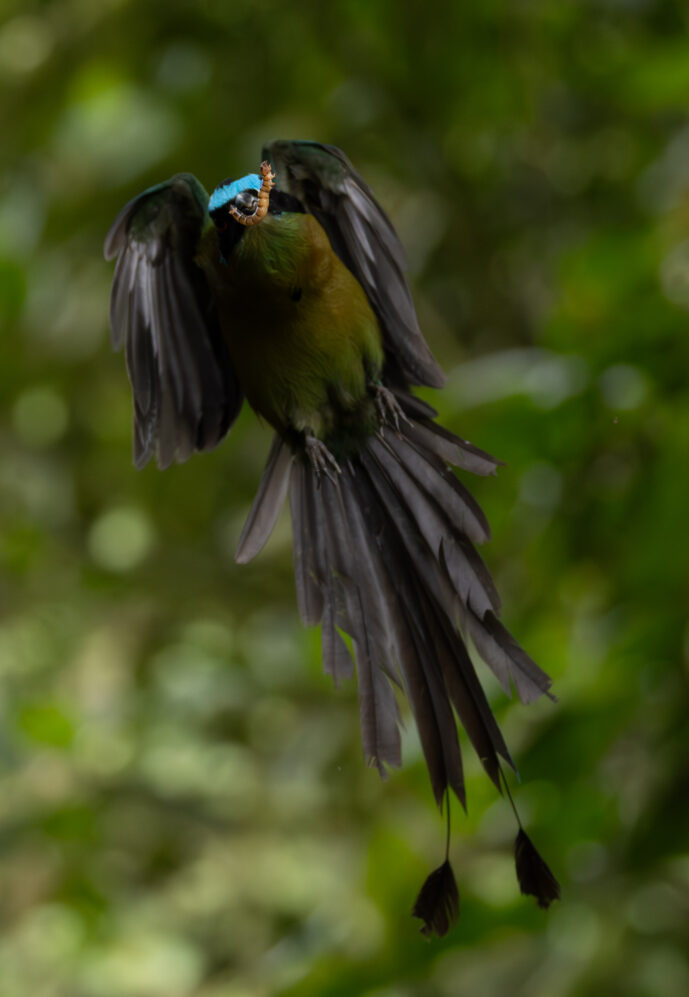 Dagua - Km18 Valle Del Cauca Colombia