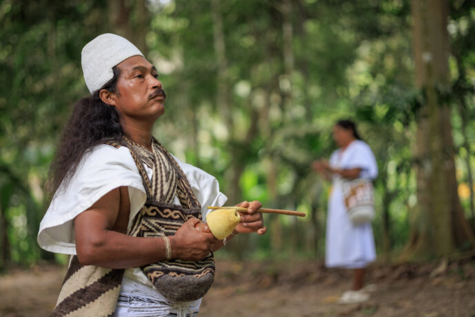 Don Diego Magdalena Colombia