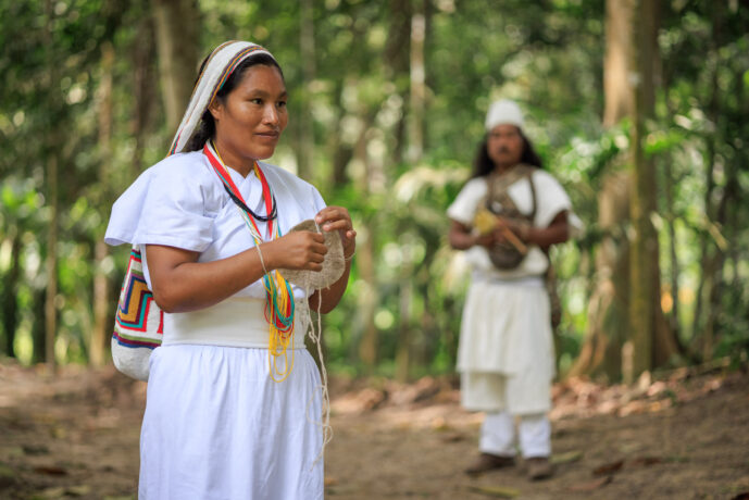 Don Diego Magdalena Colombia