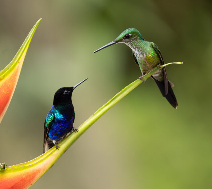 km58 Valle Del Cauca Colombia