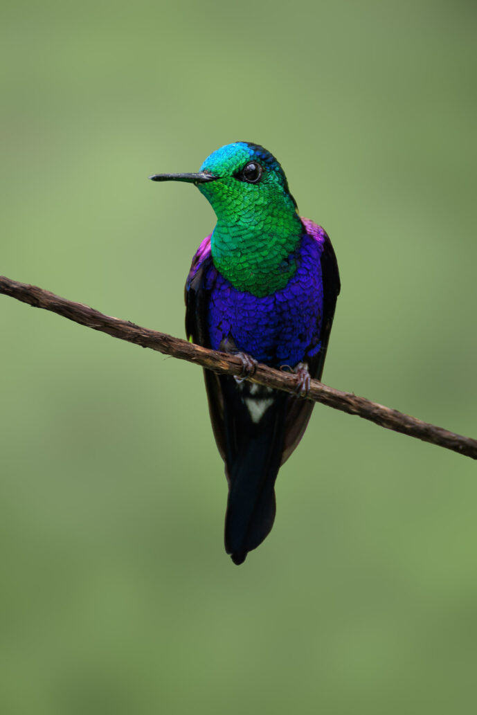 km58 Valle Del Cauca Colombia