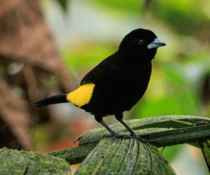km58 Valle Del Cauca Colombia