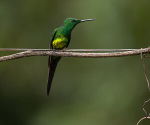 km58 Valle Del Cauca Colombia