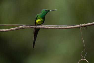 km58 Valle Del Cauca Colombia