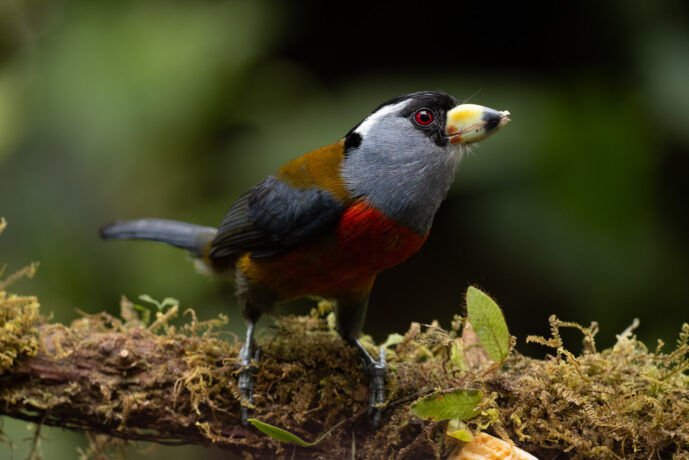 km58 Valle Del Cauca Colombia