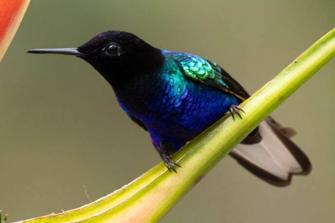 km58 Valle Del Cauca Colombia