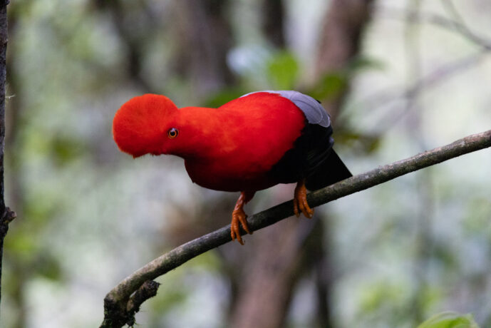 km58 Valle Del Cauca Colombia