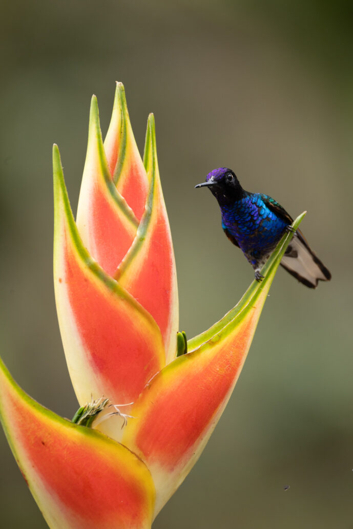 km58 Valle Del Cauca Colombia