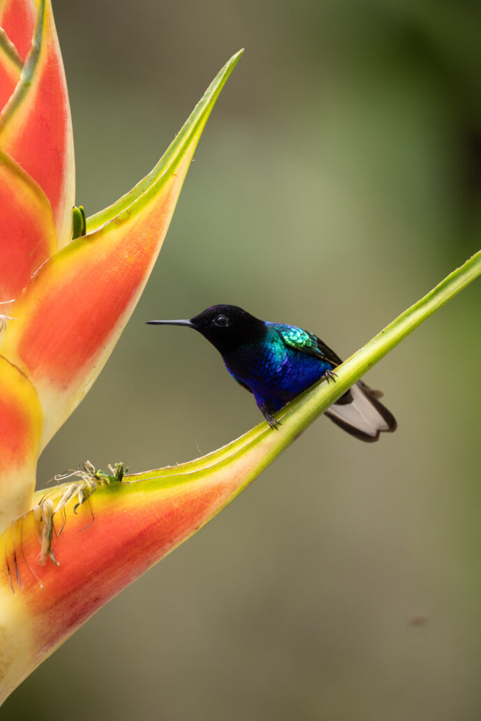 km58 Valle Del Cauca Colombia