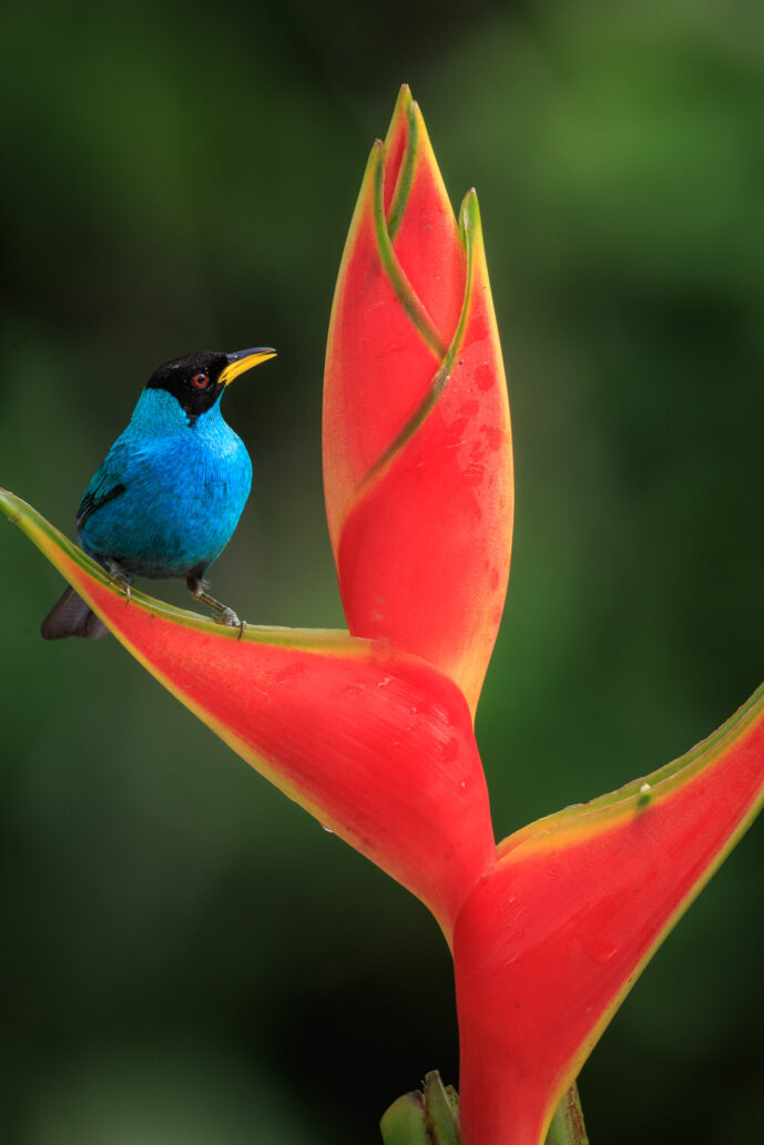 km58 Valle Del Cauca Colombia
