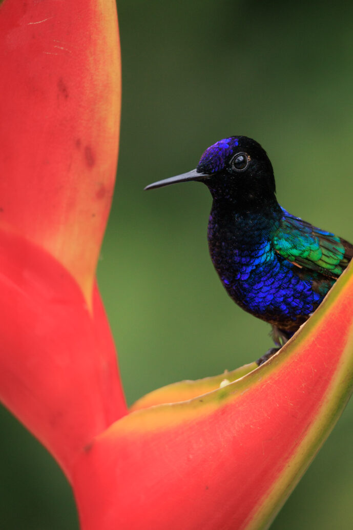 km58 Valle Del Cauca Colombia