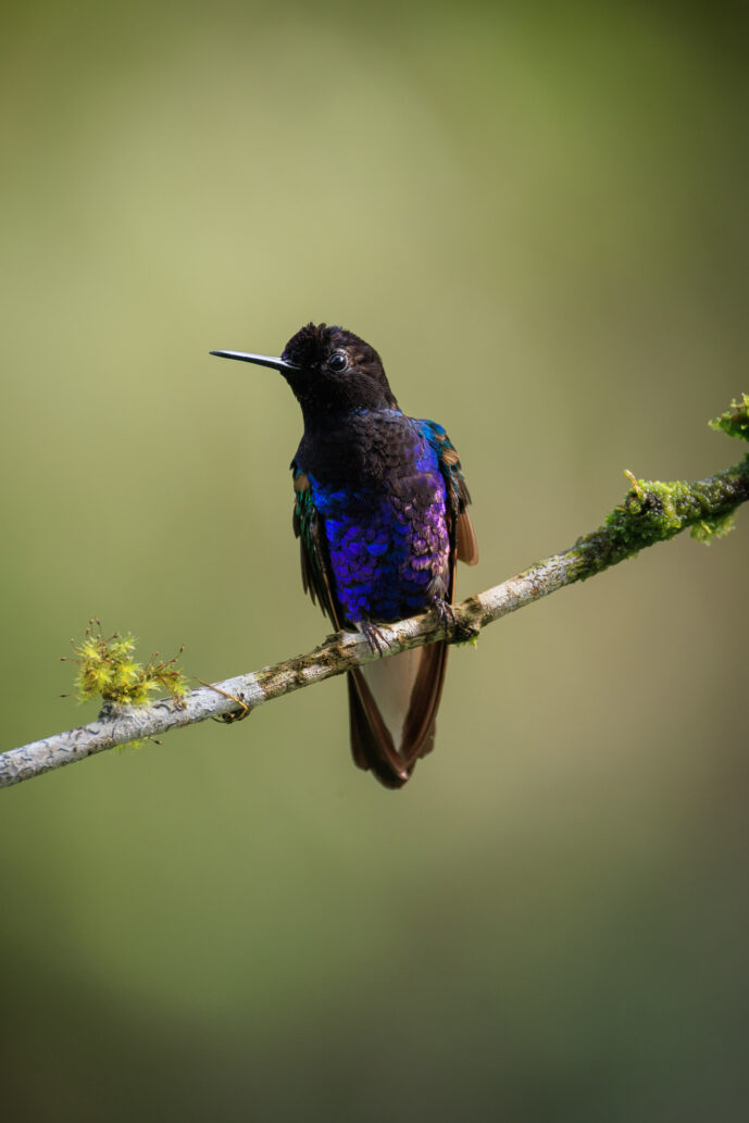 km58 Valle Del Cauca Colombia