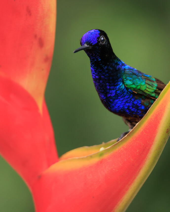 km58 Valle Del Cauca Colombia