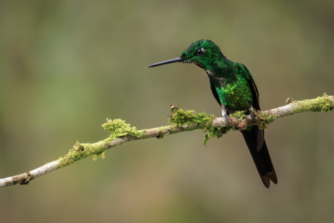 km58 Valle Del Cauca Colombia