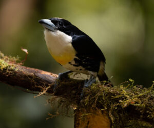 km58 Valle Del Cauca Colombia