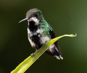 km58 Valle Del Cauca Colombia