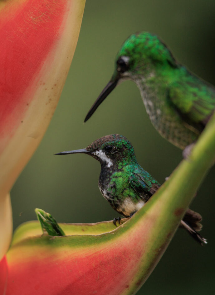km58 Valle Del Cauca Colombia