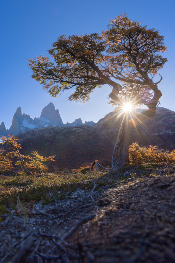 El Chalten Santa Cruz Patagonia Argentina