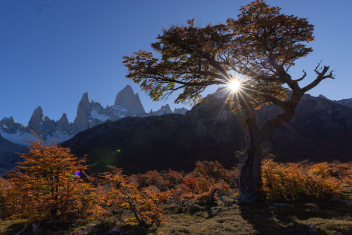El Chalten Santa Cruz Patagonia Argentina