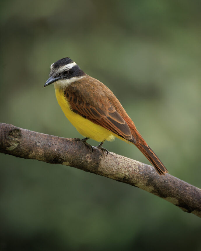 km18 Valle Del Cauca Colombia