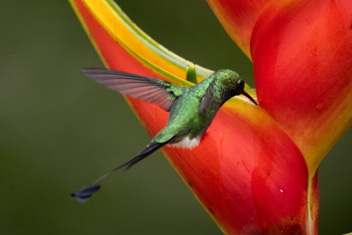 km18 Valle Del Cauca Colombia
