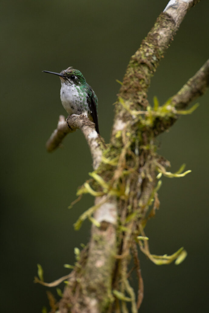 km18 Valle Del Cauca Colombia