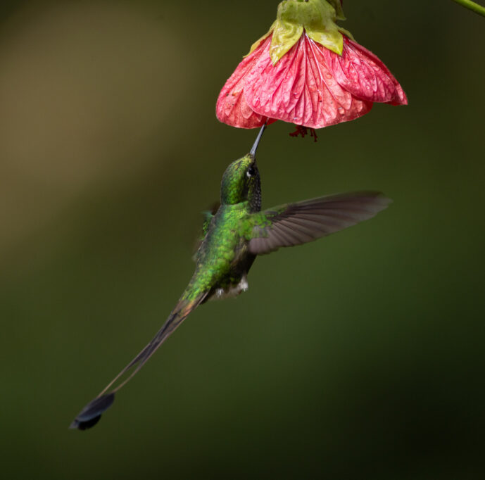 Cali Valle Del Cauca Colombia