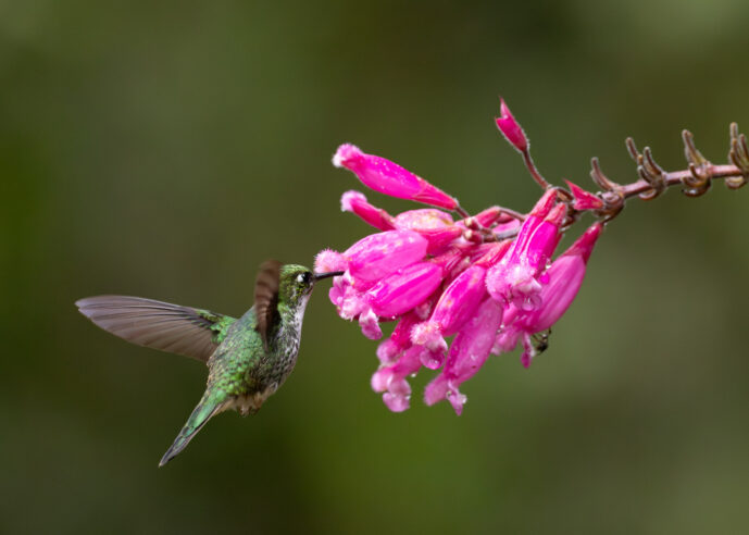 Cali Valle Del Cauca Colombia