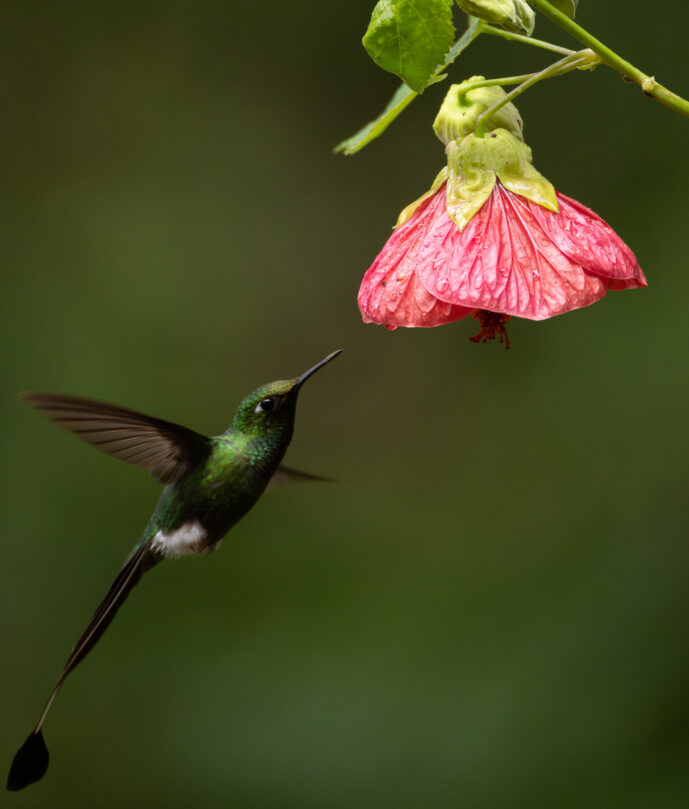 Cali Valle Del Cauca Colombia