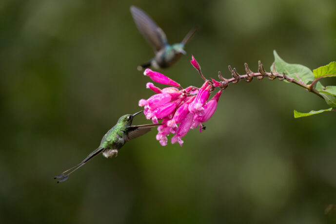 Cali Valle Del Cauca Colombia