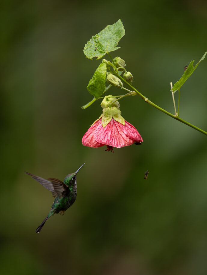 Cali Valle Del Cauca Colombia