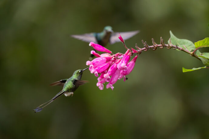 Cali Valle Del Cauca Colombia