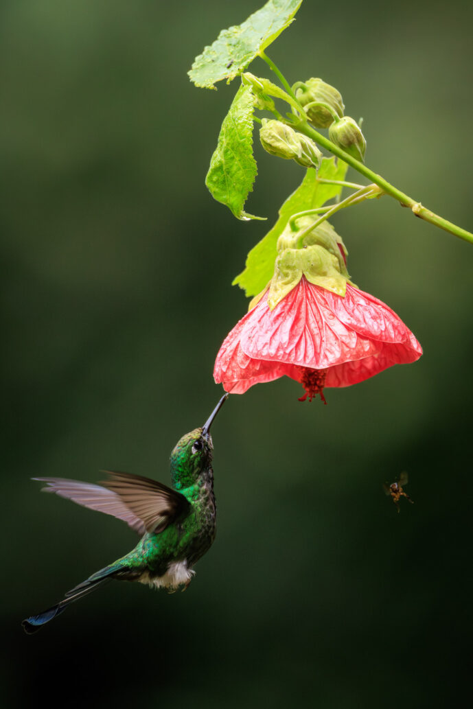 Cali Valle Del Cauca Colombia