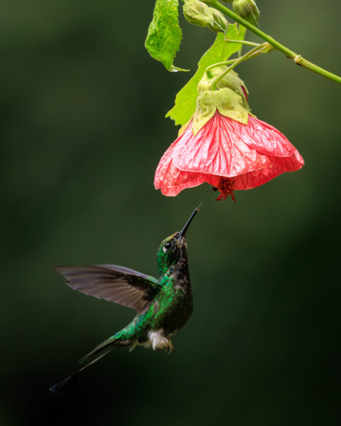 Cali Valle Del Cauca Colombia