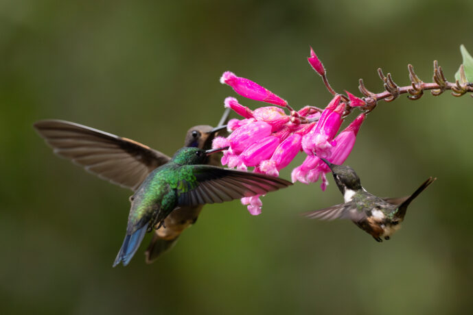 Cali Valle Del Cauca Colombia