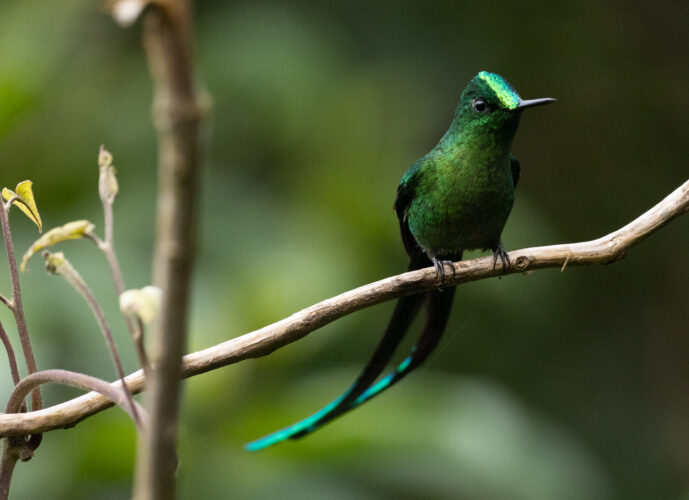 Dagua - Km18 Valle Del Cauca Colombia